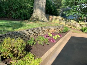 Backyard, looking right in Spring
