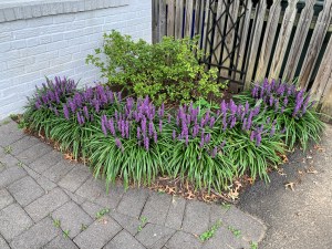 Side door planting bed